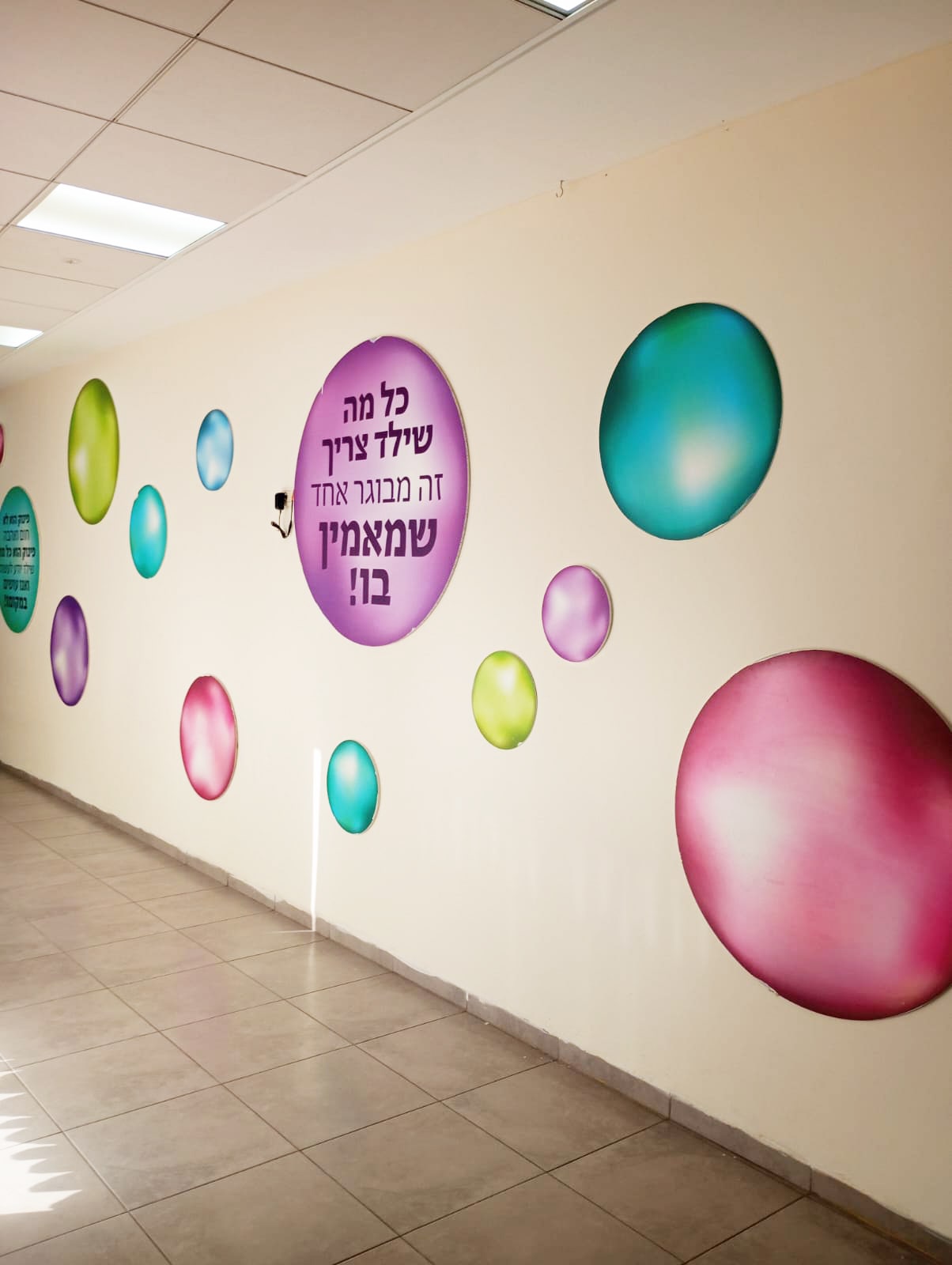 עילאי גפן (18)