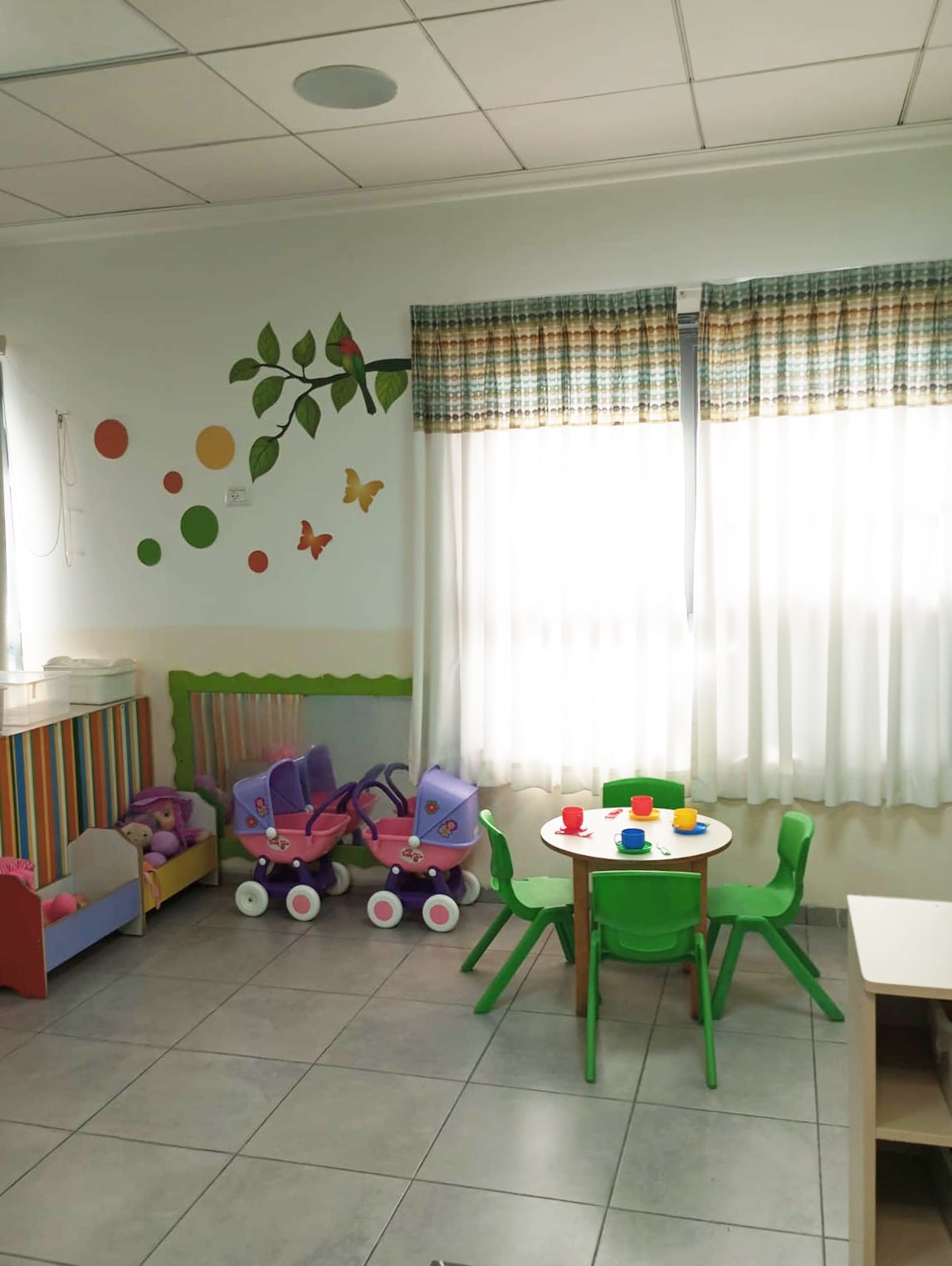 עילאי גפן (26)