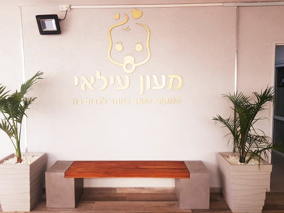 עילאי נתניה (1)