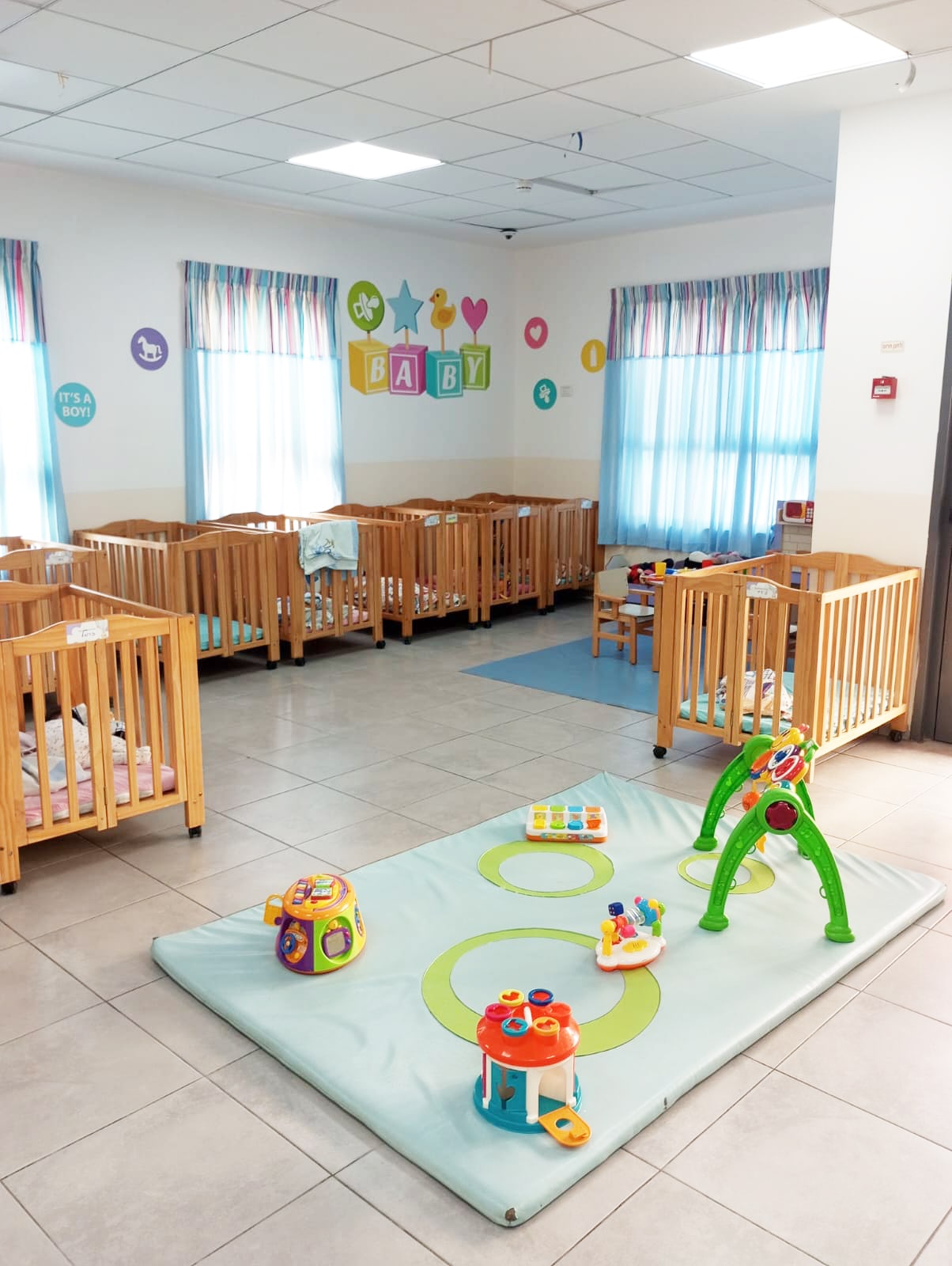 עילאי שוהם (10)
