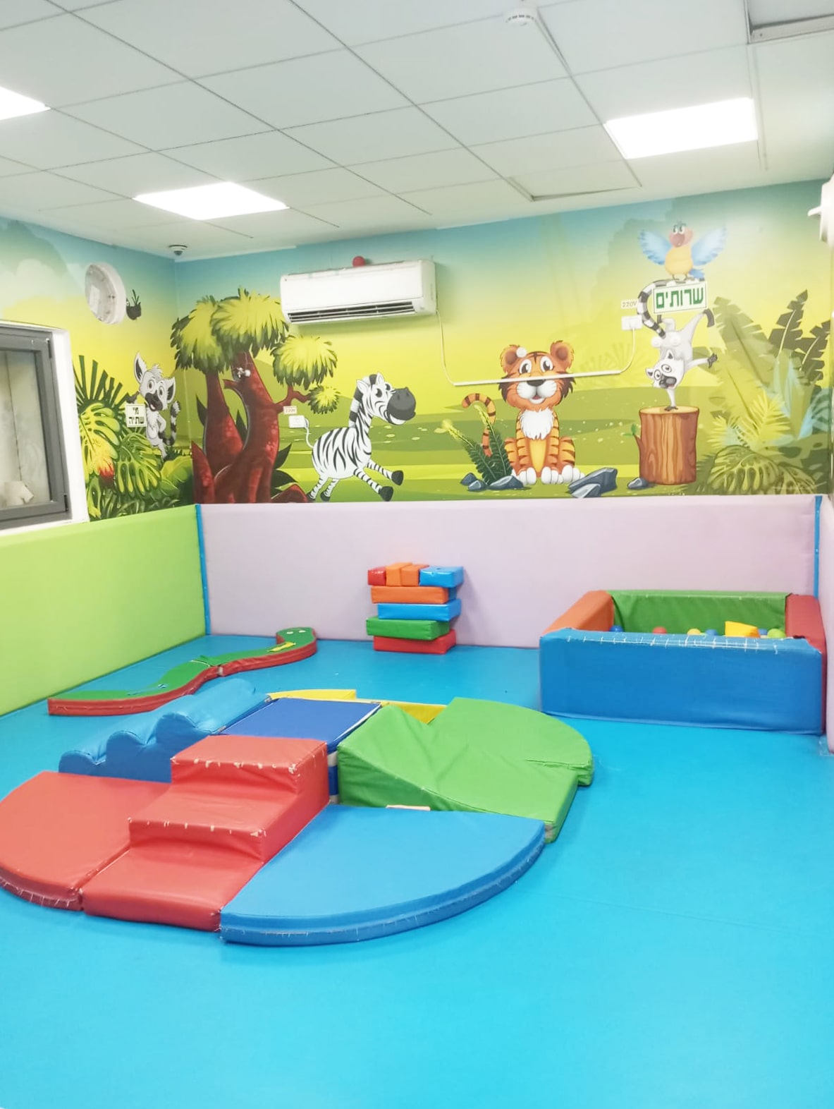 עילאי שוהם (14)