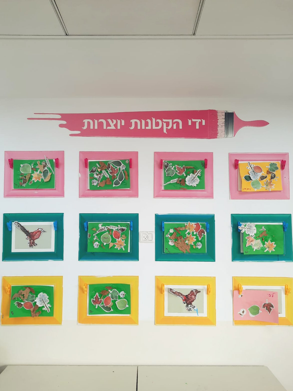 עילאי שוהם (4)