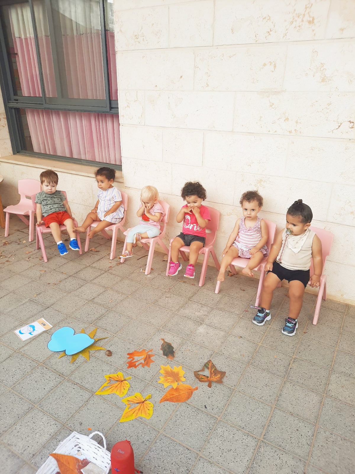 עילאי שוהם (5)